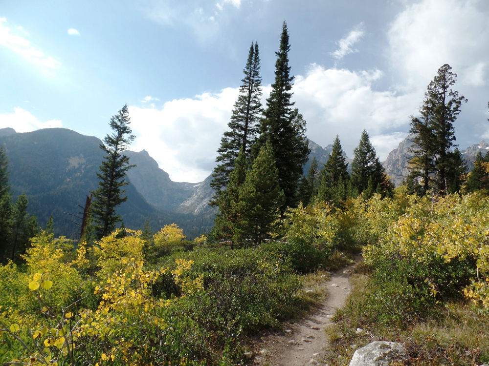 Grand Teton National Park