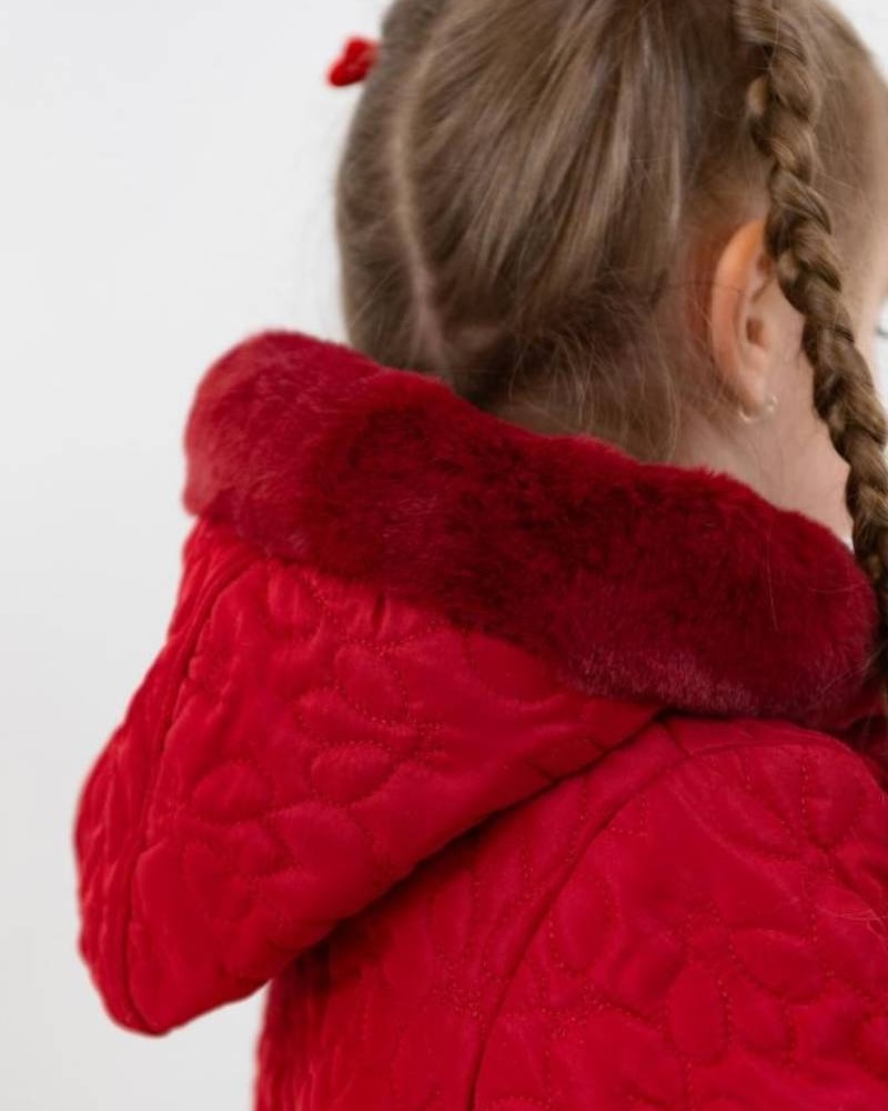 Aw25-26 trends