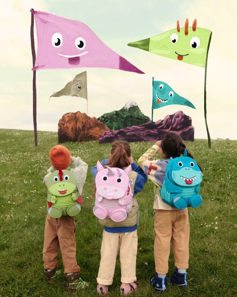 shoe accessory brands