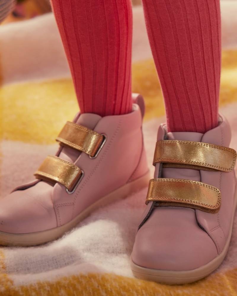 shoe accessory brands