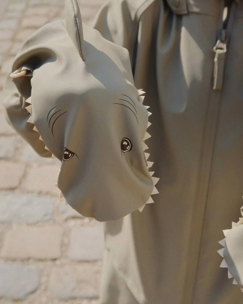 shoe accessory brands