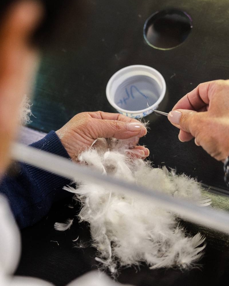 kid's outerwear brand