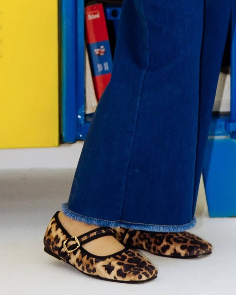 shoe accessory brands