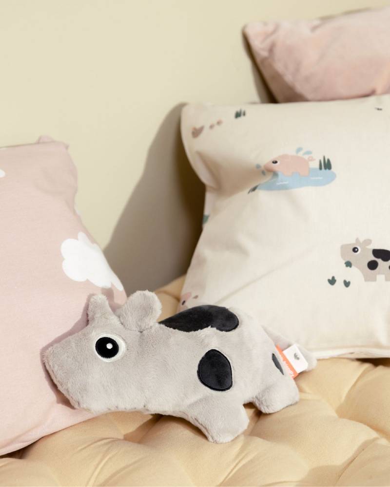 kid's lifestyle brand