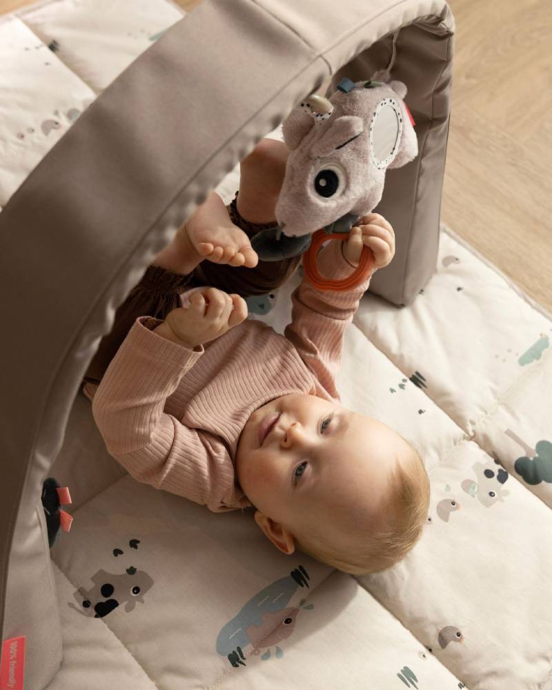 kid's lifestyle brand