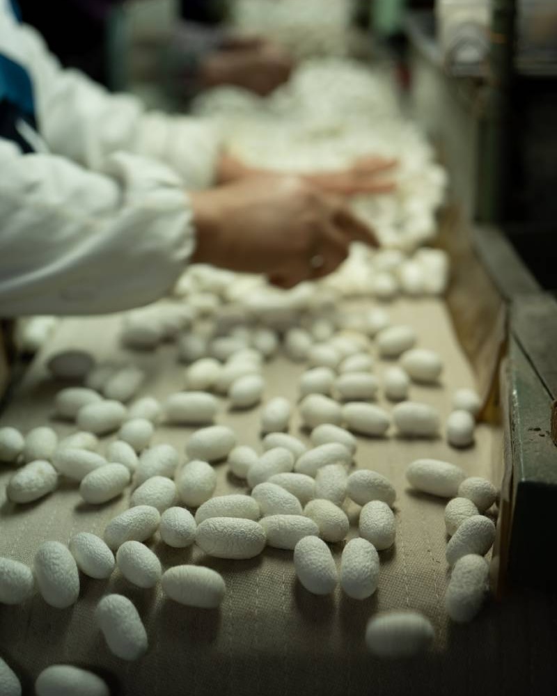 kid's fashion brand process