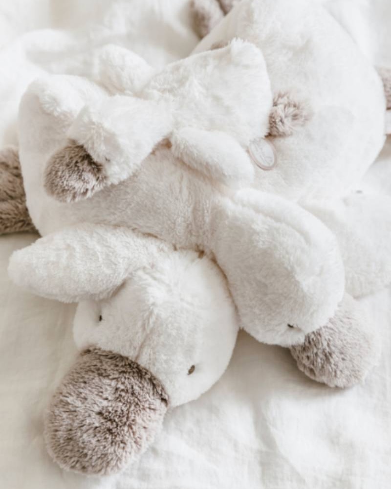 children's toy brand